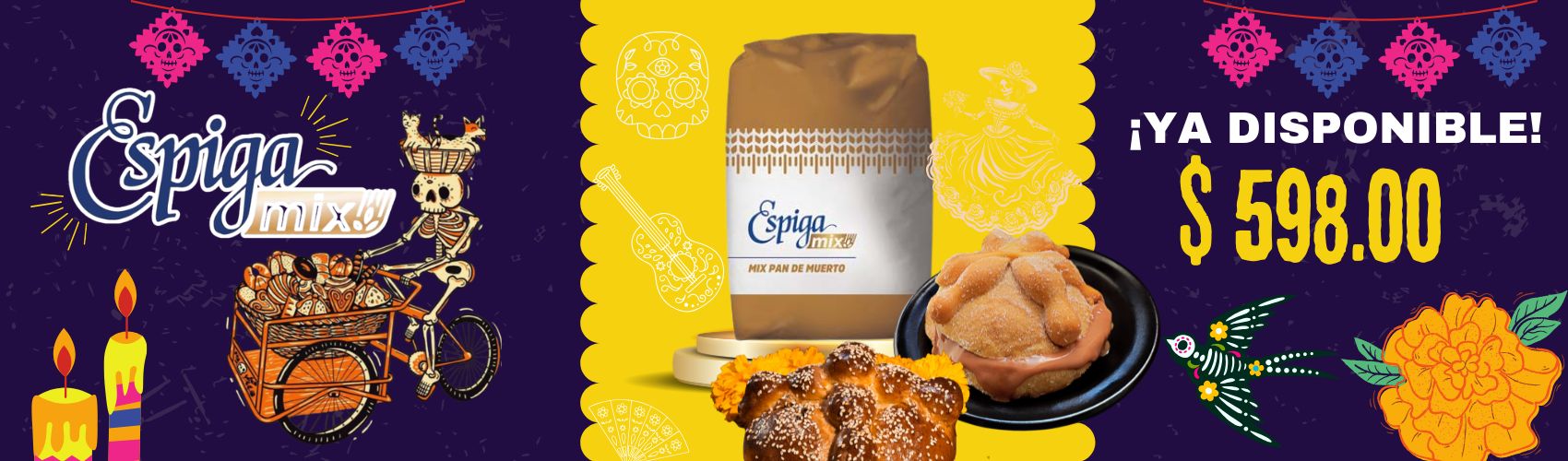 banner webAGOSTO.jpg